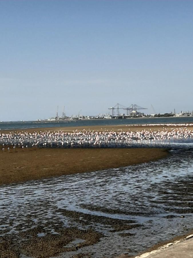 Elilo Bed And Breakfast Walvis Bay Dış mekan fotoğraf